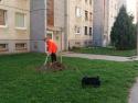 ,,Jarná výsadba drevín ,,Jarná výsadba drevín