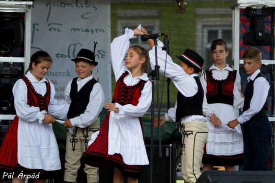 10-Barót 2019.jpg 10-Barót 2019.jpg
